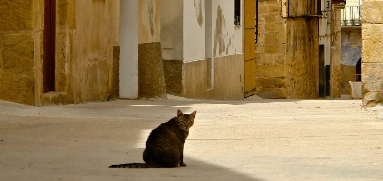Casa Oryza Βίλα Arnés